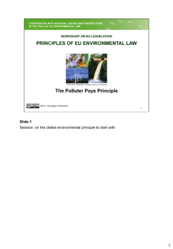 polluter pays principle