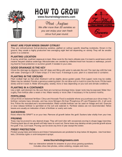 to the complete PDF file.