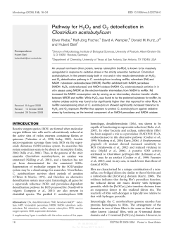 Pathway for H2O2 and O2 detoxification in