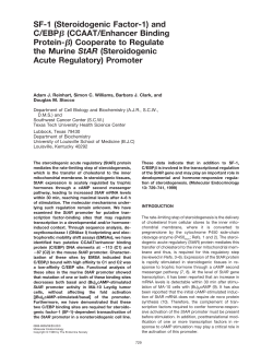 SF-1 (Steroidogenic Factor-1) and C/EBP (CCAAT/Enhancer