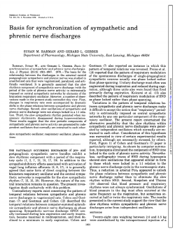 Basis for synchronization of sympathetic and
