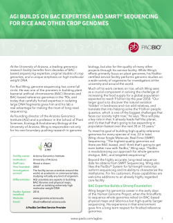 AGI builds on BAC expertise and SMRT Sequencing for rice and other