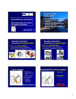 Cools. Scapular mechanics and rehabilitation