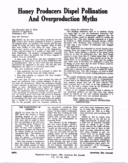 Honey Producers Dispel Pollination And Overproduction Myths