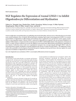 NGF Regulates the Expression of Axonal LINGO