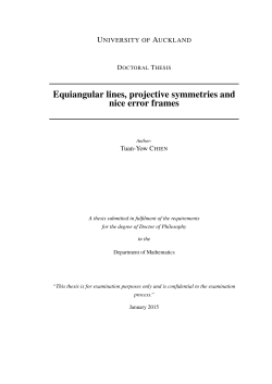 Equiangular lines, projective symmetries and nice error frames