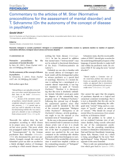 Commentary to the articles of M. Stier (Normative preconditions for