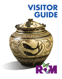 Large Print Map Guide - Royal Ontario Museum