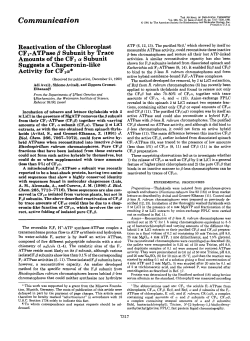 Reactivation of the Chloroplast CF1