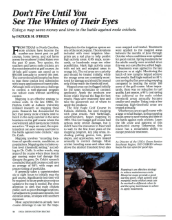 Don`t Fire Until You See The Whites of Their Eyes