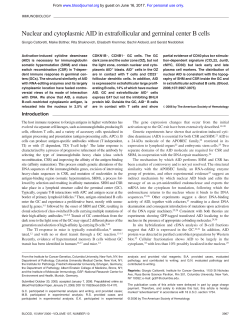 Nuclear and cytoplasmic AID in extrafollicular and