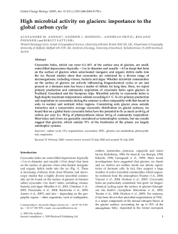 High microbial activity on glaciers: importance to the global carbon