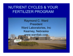 Nutrient Cycles 2-3-2009