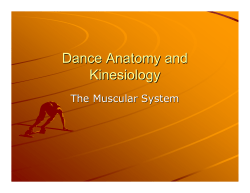 Dance Anatomy and Kinesiology Week 9 PowerPoint