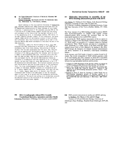 The Three-Dimensional Structure of Bacterial Ribosomal RNA at 13
