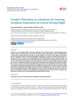 Feather Vibration as a Stimulus for Sensing Incipient Separation in