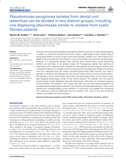 Pseudomonas aeruginosa isolates from dental unit waterlines can