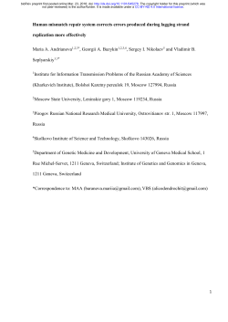 Human mismatch repair system corrects errors produced