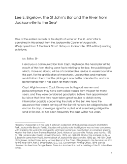 Lee E. Bigelow, The St John`s Bar and the River from Jacksonville to