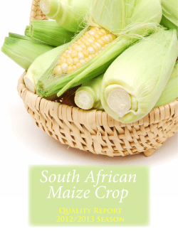 South African Maize Crop
