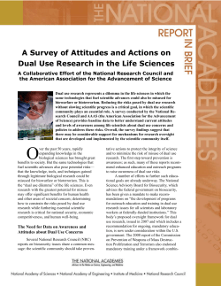 the report brief