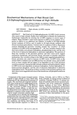 Biochemical Mechanisms of Red Blood Cell 2,3-Di p