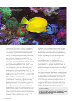 It took clownfish breeding many years before it