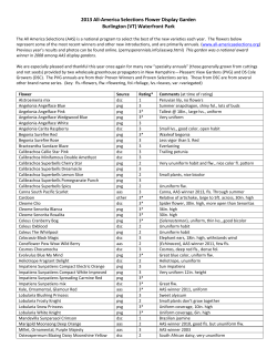 2002 All America Selections Flower Display Garden