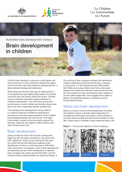 Brain development in children