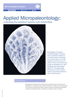 Applied Micropaleontology:
