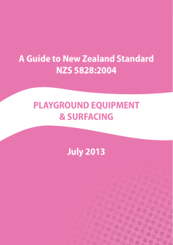 Playground Equipment and Surfacing Safety