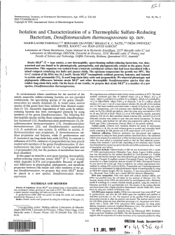 Isolation and characterization of a thermophilic sulfate