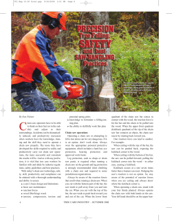 Precision Tree Felling, Safety and Best Saw Handling