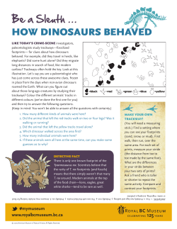 HOW DINOSAURS BEHAVED