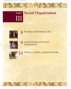 Social Organization