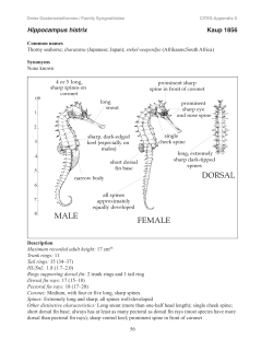 ID guide  - Project Seahorse