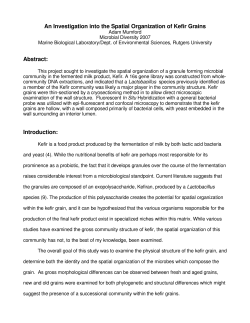 Mumford, A. An investigation into the spatial organization of Kefir