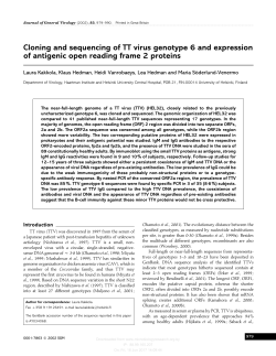 Cloning and sequencing of TT virus genotype 6 and expression of