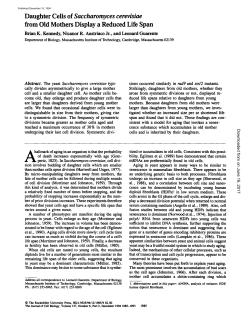 Daughter Cells of Saccharomyces cerevisiae from Old Mothers