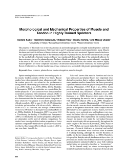 Morphological and Mechanical Properties of