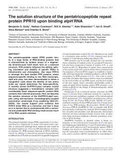 The solution structure of the pentatricopeptide