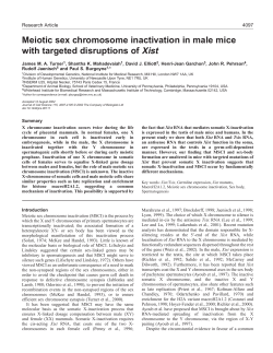 Meiotic sex chromosome inactivation - Journal of Cell Science
