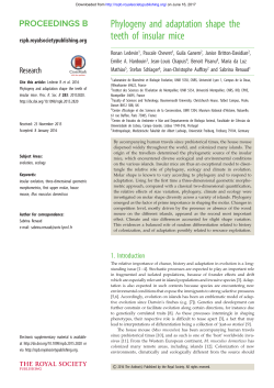 Phylogeny and adaptation shape the teeth of insular mice