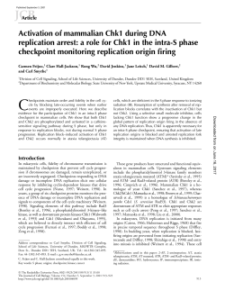 Activation of mammalian Chk1 during DNA replication arrest: a role