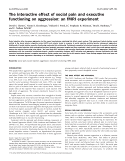 The interactive effect of social pain and executive