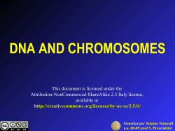 dna and chromosomes - Center of Statistical Genetics