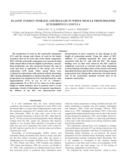 Elastic energy storage and release in dogfish muscle