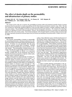 SCIENTIFIC ARTICLE The effect of dentin depth on the permeability