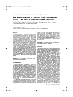 How does the Proximodistal Twisting of Spring Barley (Hordeum