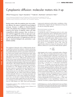 Cytoplasmic diffusion: molecular motors mix it up